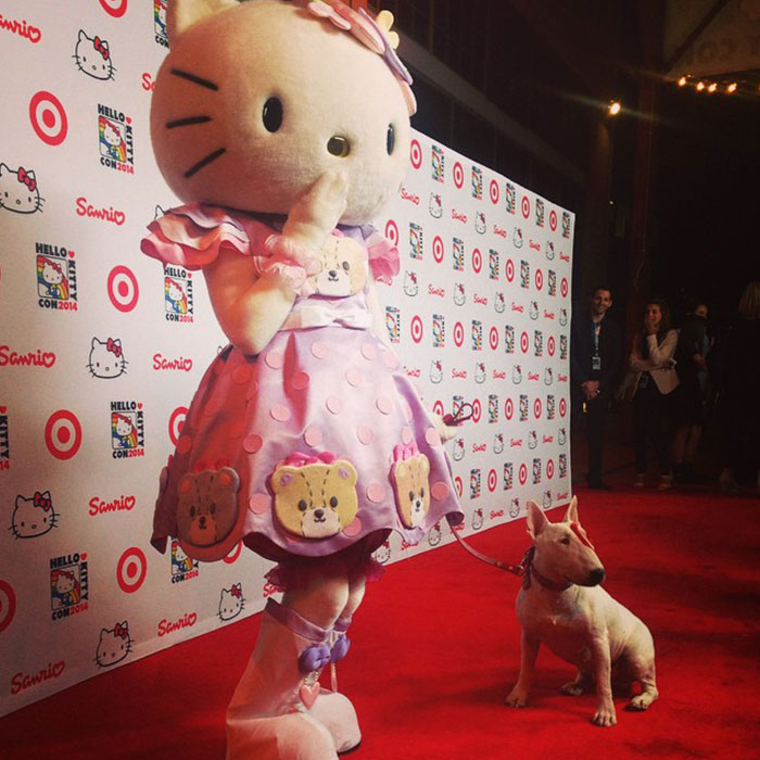 Hello Kitty & Bullseye – Hello Kitty Con – Los Angeles, CA